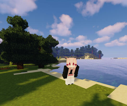 #minecrafttingz